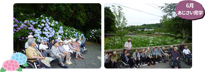 [6月] あじさい見学